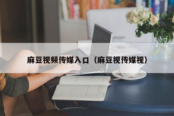 麻豆视频传媒入口(麻豆视传媒视)
