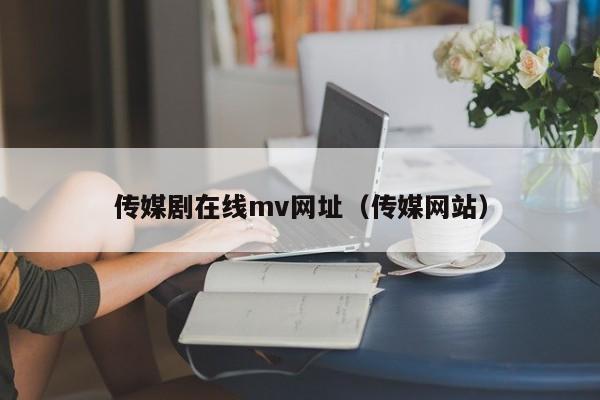 传媒剧在线mv网址(传媒网站)